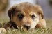 20090413299524_852864m_20.jpeg_w450.jpg