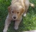 20090310237497_HPIM3006.JPG_w450.jpg