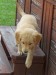 20090310237503_HPIM3214.JPG