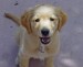 20090310237508_HPIM3009.JPG