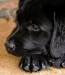 20090526329535_3529568690_fc95a3b086_b.jpg