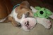 20090412298528_DSC00644.jpg