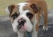 20090412298533_DSC00658.jpg_w450.jpg