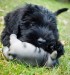 20090409295191_Maggie3.jpg