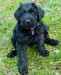 20090409295192_Maggie4.jpg_w450.jpg
