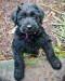 20090409295193_Maggie7.jpg