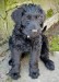 20090409295194_Maggie6.jpg