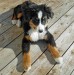 20090409279781_mommysphotos027.JPG
