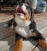 20090409290050_mommysphotos031.JPG