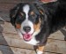 20090409290051_mommysphotos032.JPG