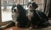 20090409290052_mommysphotos028.JPG