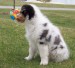 20090403289356_100_3140.JPG
