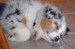 20090403289379_100_3154.JPG