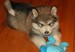 20090430314425_DSC01725.JPG