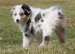 20090403289381_Topaz005.jpg