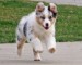 20090403289413_100_3176.JPG
