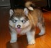 20090430314430_DSC00077.JPG