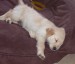 20090406286164_101_5148.JPG