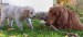 20090406286168_101_5238.JPG