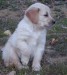 20090406286169_101_5263.JPG
