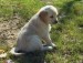 20090406286184_101_5355.JPG