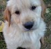 20090406286185_101_5380.JPG
