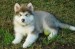 20090430314436_DSC00079.JPG_w450.jpg