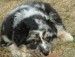 20090506286428_DSCF0005.JPG