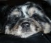20090506286430_n1603650078_30092663_3154712.jpg_w450.jpg