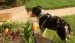 20090506316839_shemper7.JPG