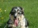 20090506320324_DSCF0007.JPG