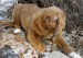 20090504318558_11wksvito40007.jpg