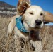 20090425310395_DSC01662.JPG