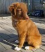 20090504318562_15wksVito170010.jpg