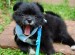 20090516329161_resize4.jpg
