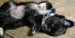 20090516329163_resize6.jpg