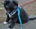 20090516329164_resize7.jpg