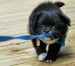20090516329165_resize8.jpg_w450.jpg
