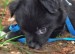 20090516329166_resize9.jpg_w450.jpg
