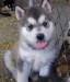 20090510324160_030.JPG_w450.jpg