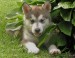 20090510324161_012.JPG_w450.jpg