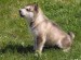 20090510324490_014.JPG_w450.jpg