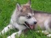 20090510324491_014-Copy.JPG_w450.jpg